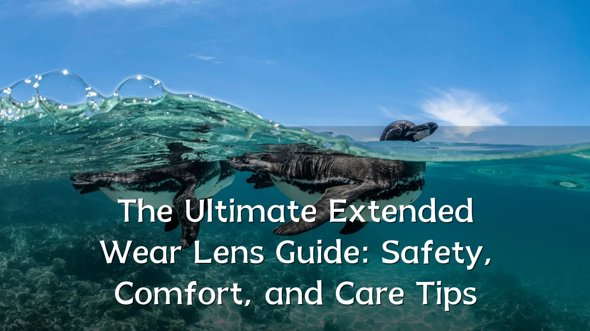The Ultimate Extended Wear Lens Guide: Safety, Comfort, and Care Tips