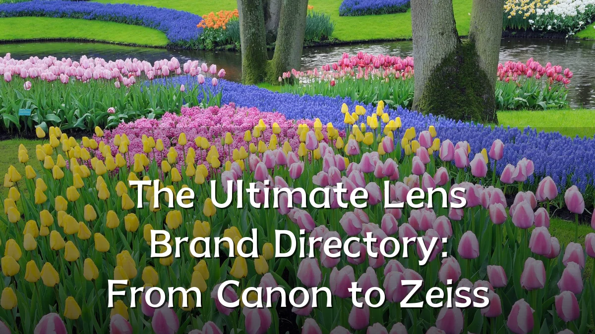 The Ultimate Lens Brand Directory: From Canon to Zeiss
