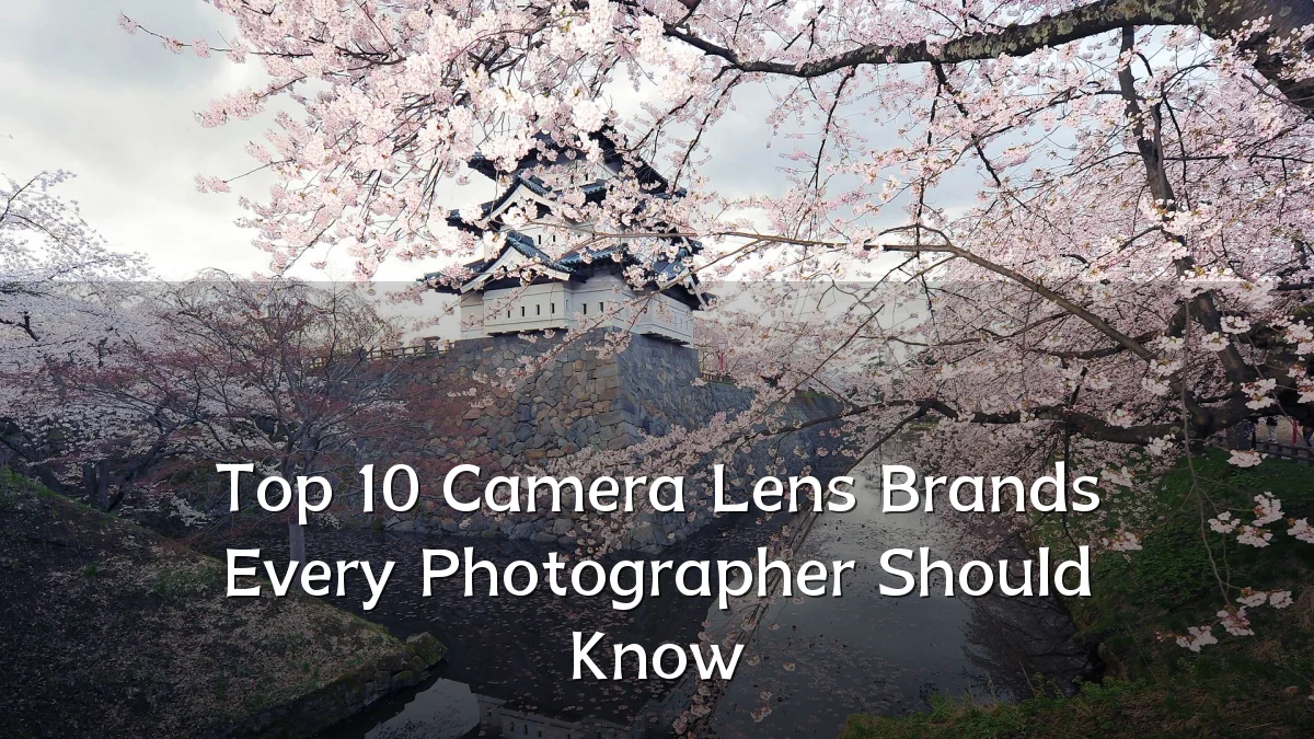 Top 10 Camera Lens Brands Every Photographer Should Know