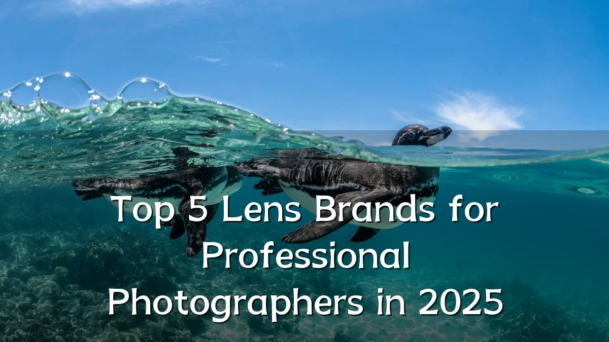 Top 5 Lens Brands for Professional Photographers in 2025