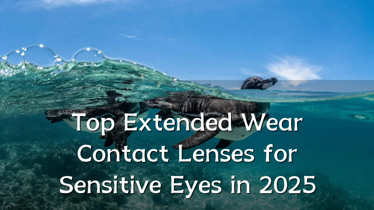 Top Extended Wear Contact Lenses for Sensitive Eyes in 2025