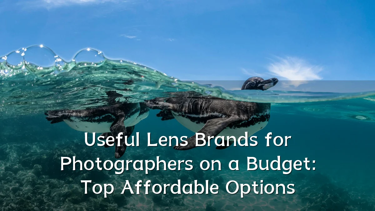 Useful Lens Brands for Photographers on a Budget: Top Affordable Options