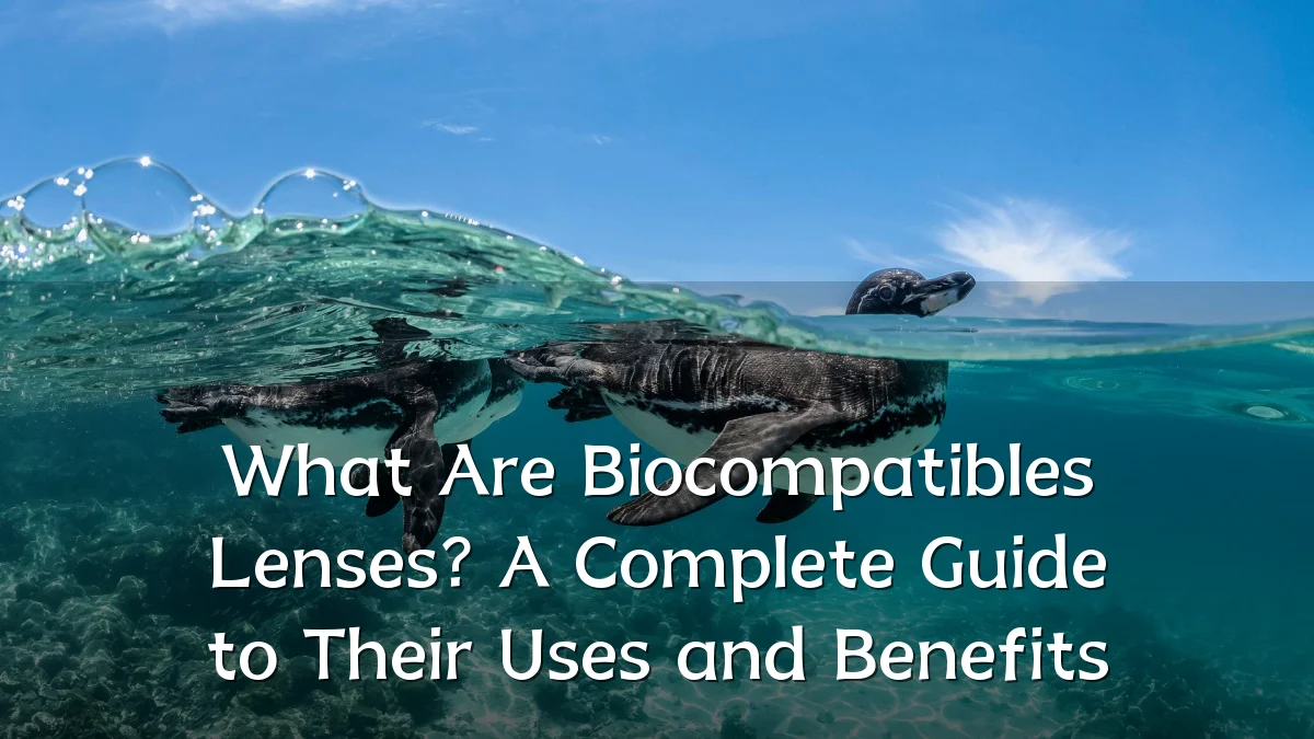 What Are Biocompatibles Lenses? A Complete Guide to Their Uses and Benefits