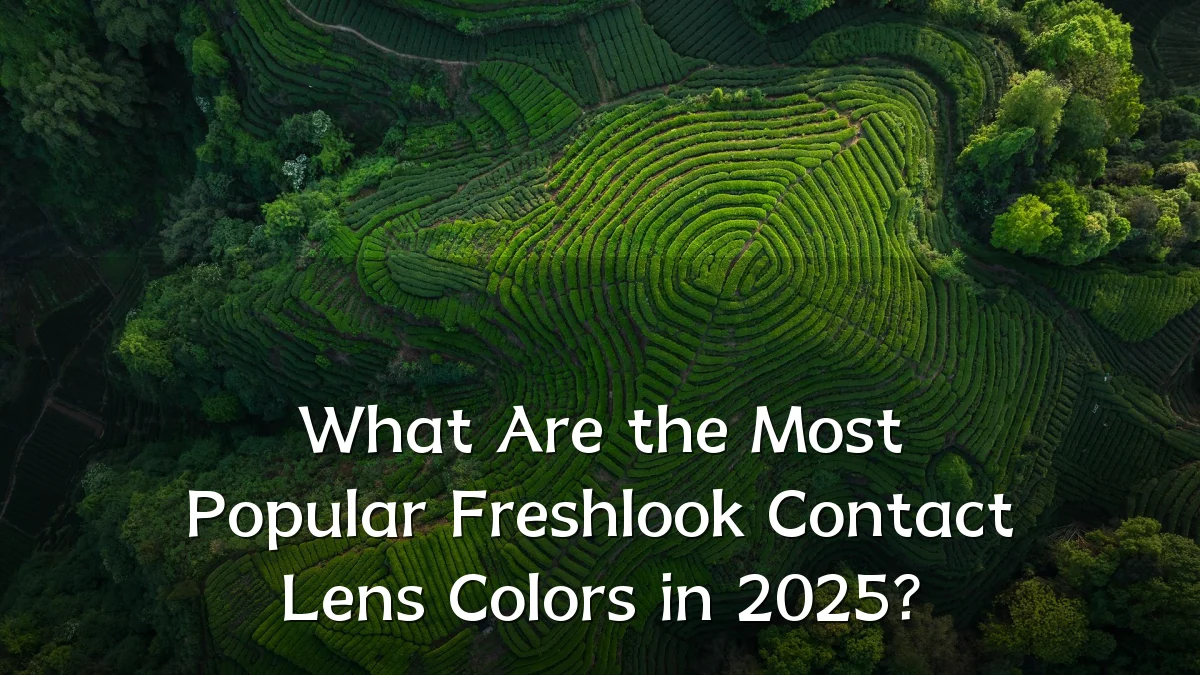 What Are the Most Popular Freshlook Contact Lens Colors in 2025?