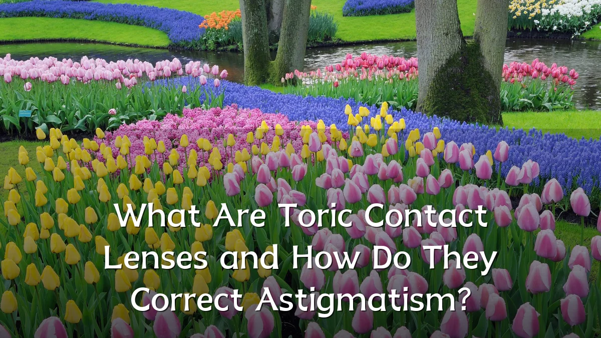 What Are Toric Contact Lenses and How Do They Correct Astigmatism?