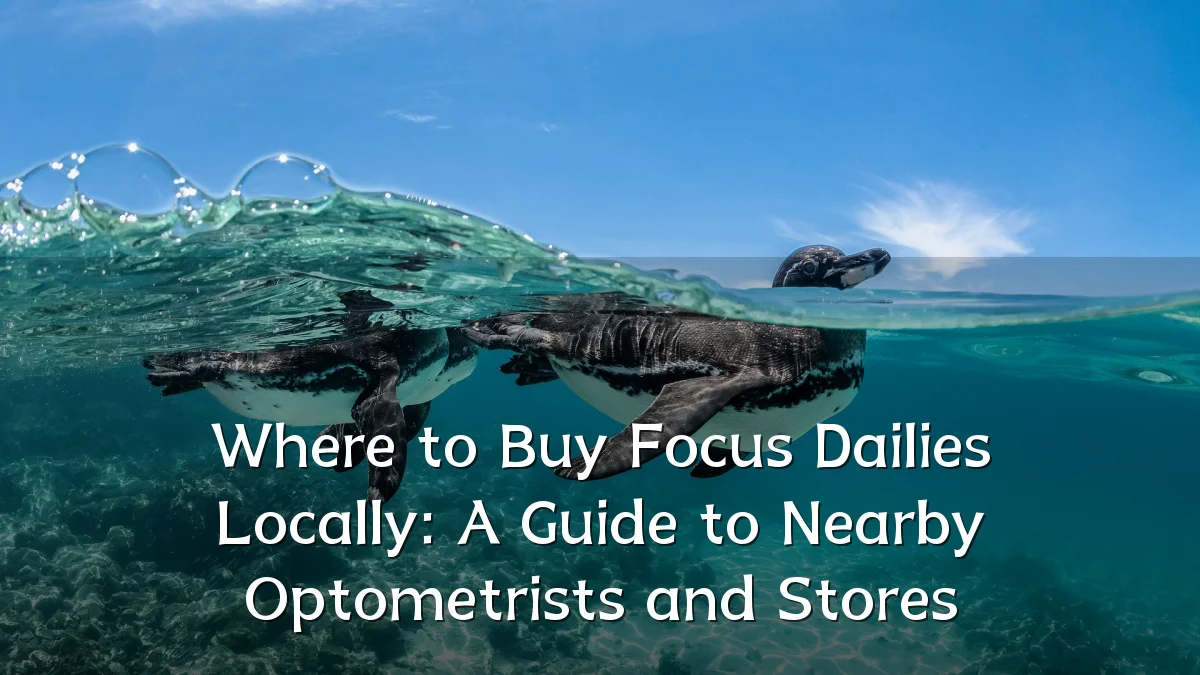 Where to Buy Focus Dailies Locally: A Guide to Nearby Optometrists and Stores