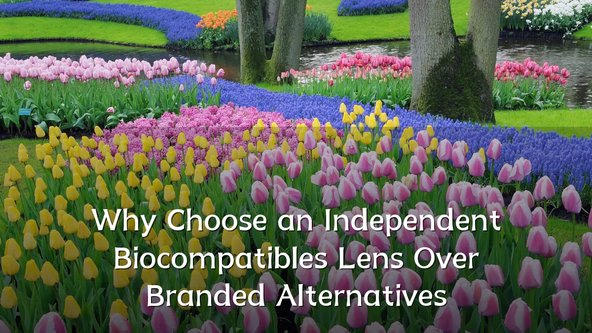 Why Choose an Independent Biocompatibles Lens Over Branded Alternatives