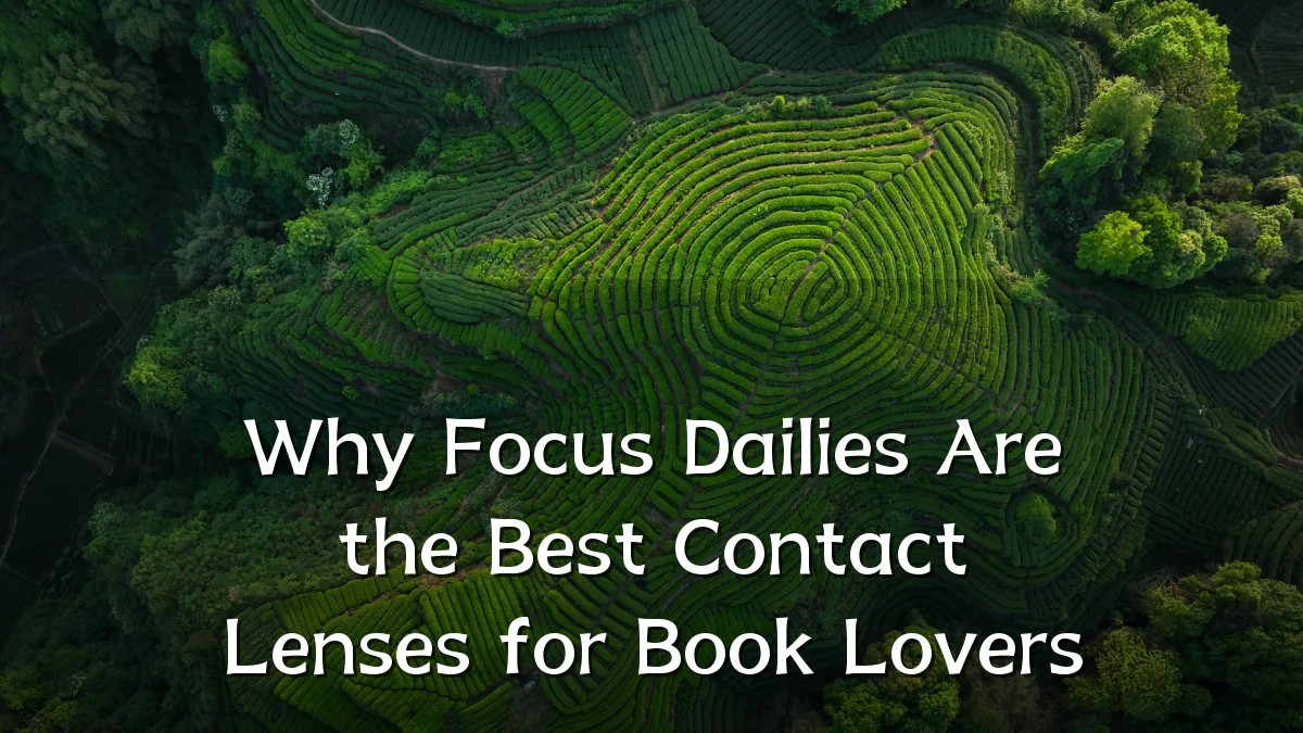 Why Focus Dailies Are the Best Contact Lenses for Book Lovers