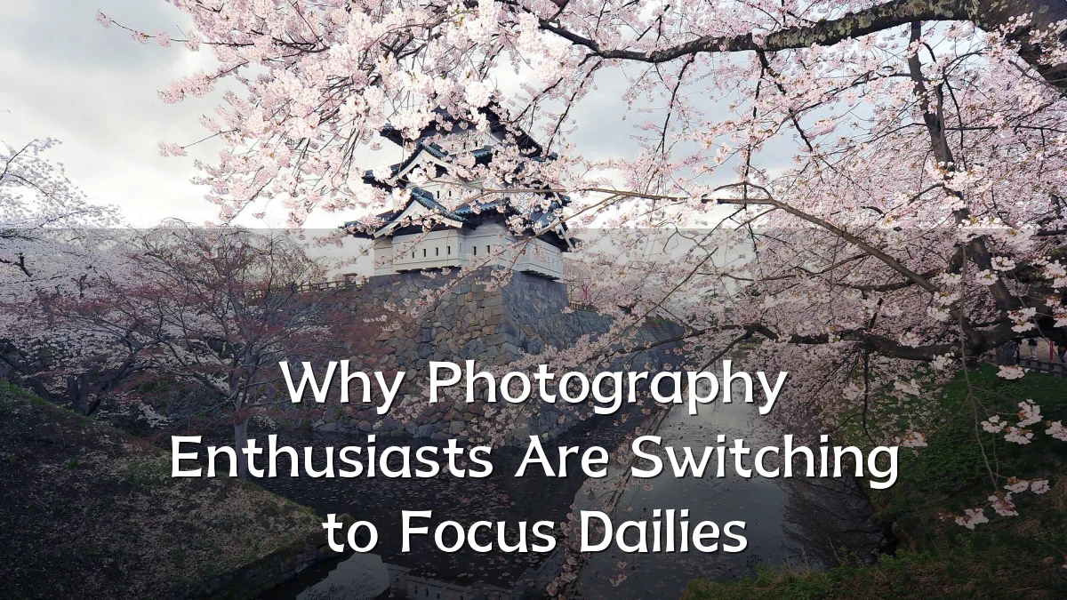 Why Photography Enthusiasts Are Switching to Focus Dailies