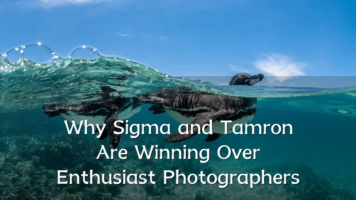 Why Sigma and Tamron Are Winning Over Enthusiast Photographers