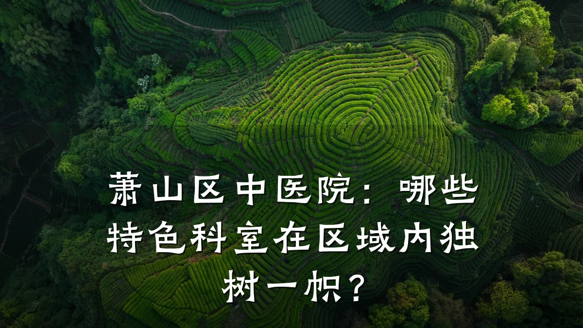 萧山区中医院:哪些特色科室在区域内独树一帜?