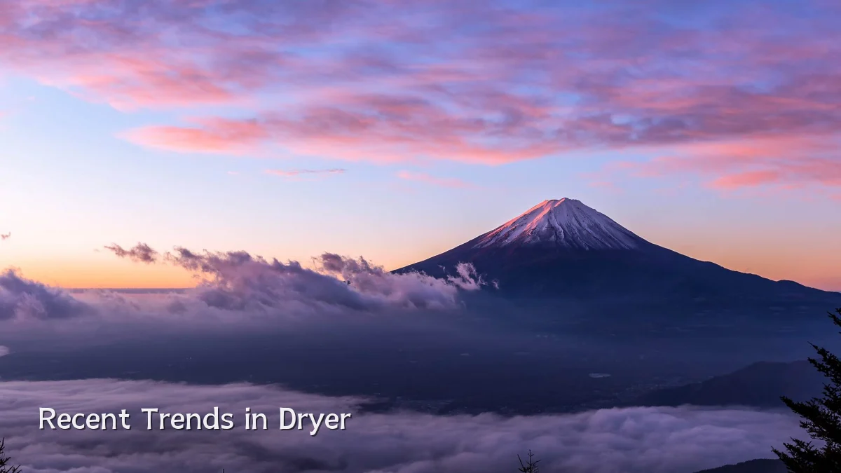 Recent Trends in Dryer