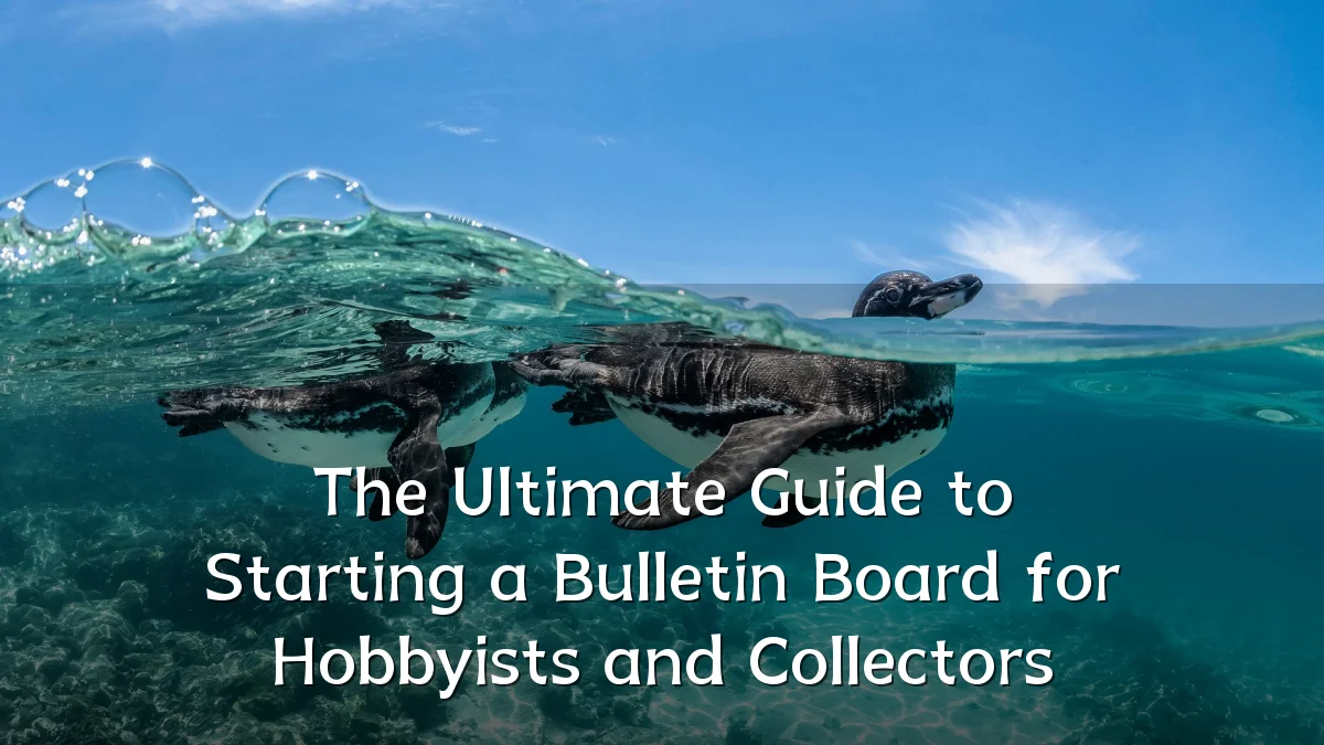 The Ultimate Guide to Starting a Bulletin Board for Hobbyists and Collectors