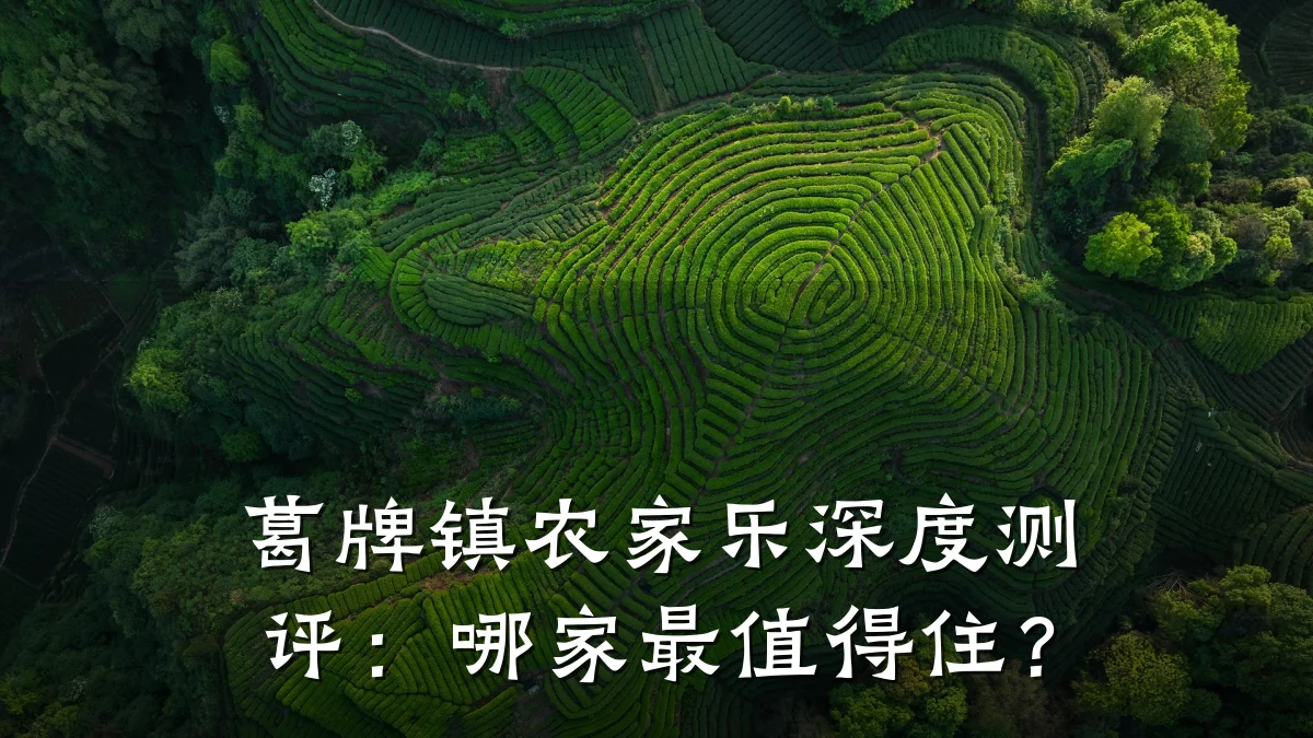 葛牌镇农家乐深度测评:哪家最值得住?