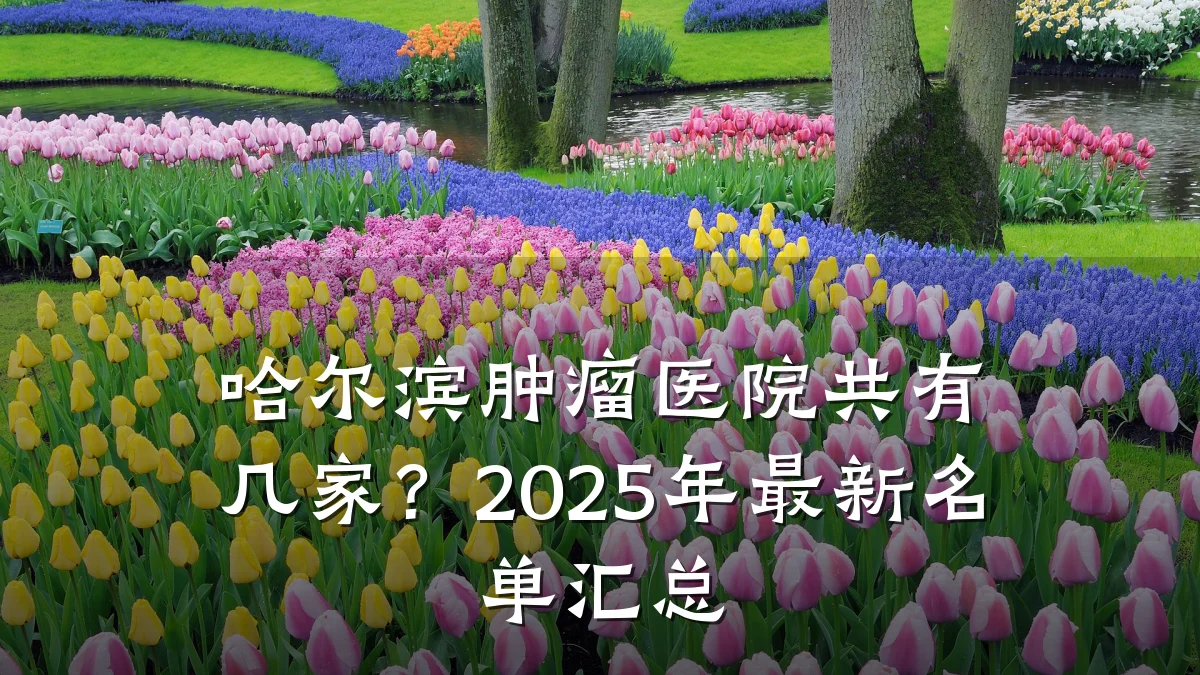 哈尔滨肿瘤医院共有几家？2025年最新名单汇总