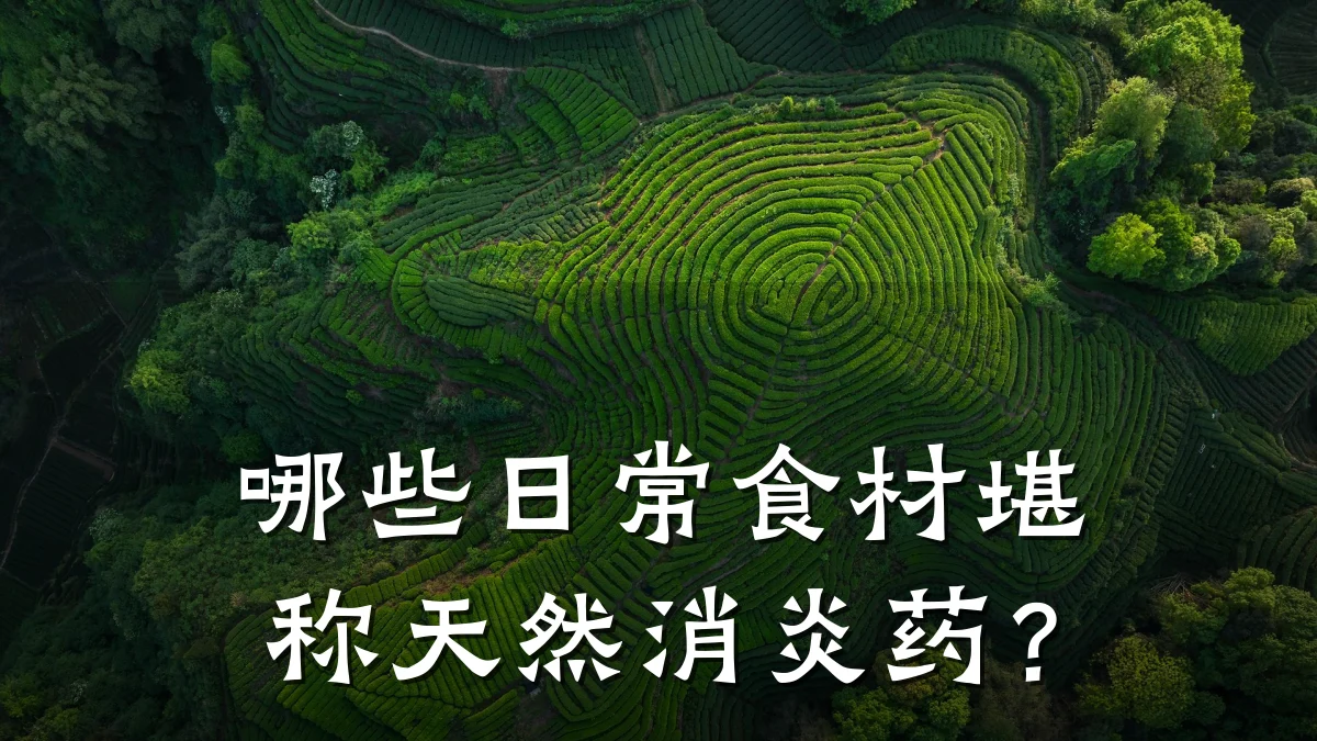哪些日常食材堪称天然消炎药？