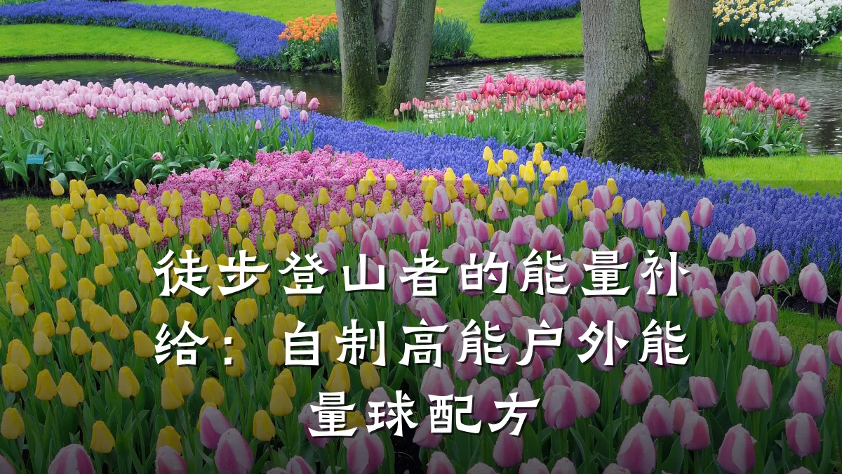 徒步登山者的能量补给：自制高能户外能量球配方