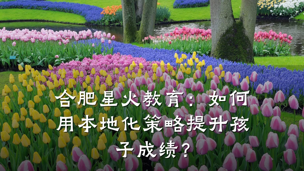 合肥星火教育:如何用本地化策略提升孩子成绩?
